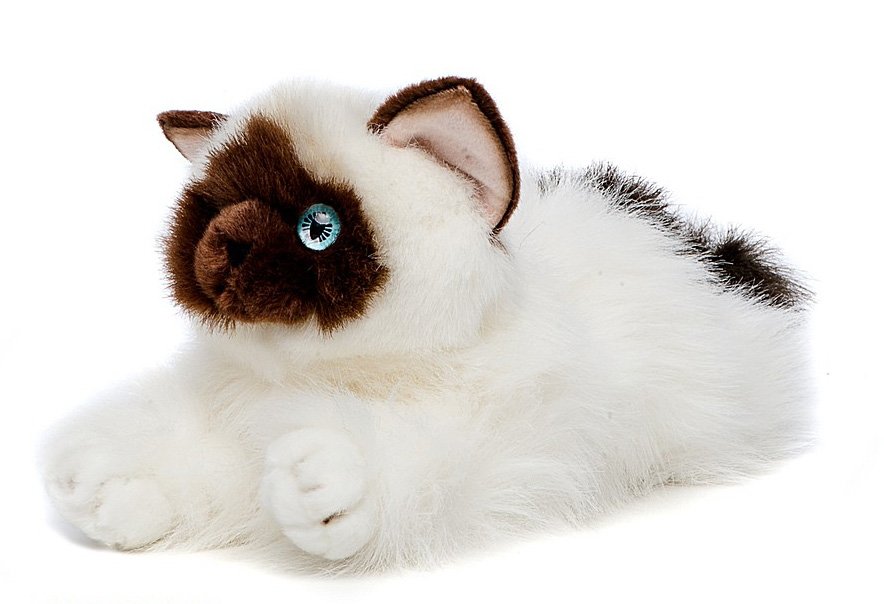 сиамская плюшевая кошка