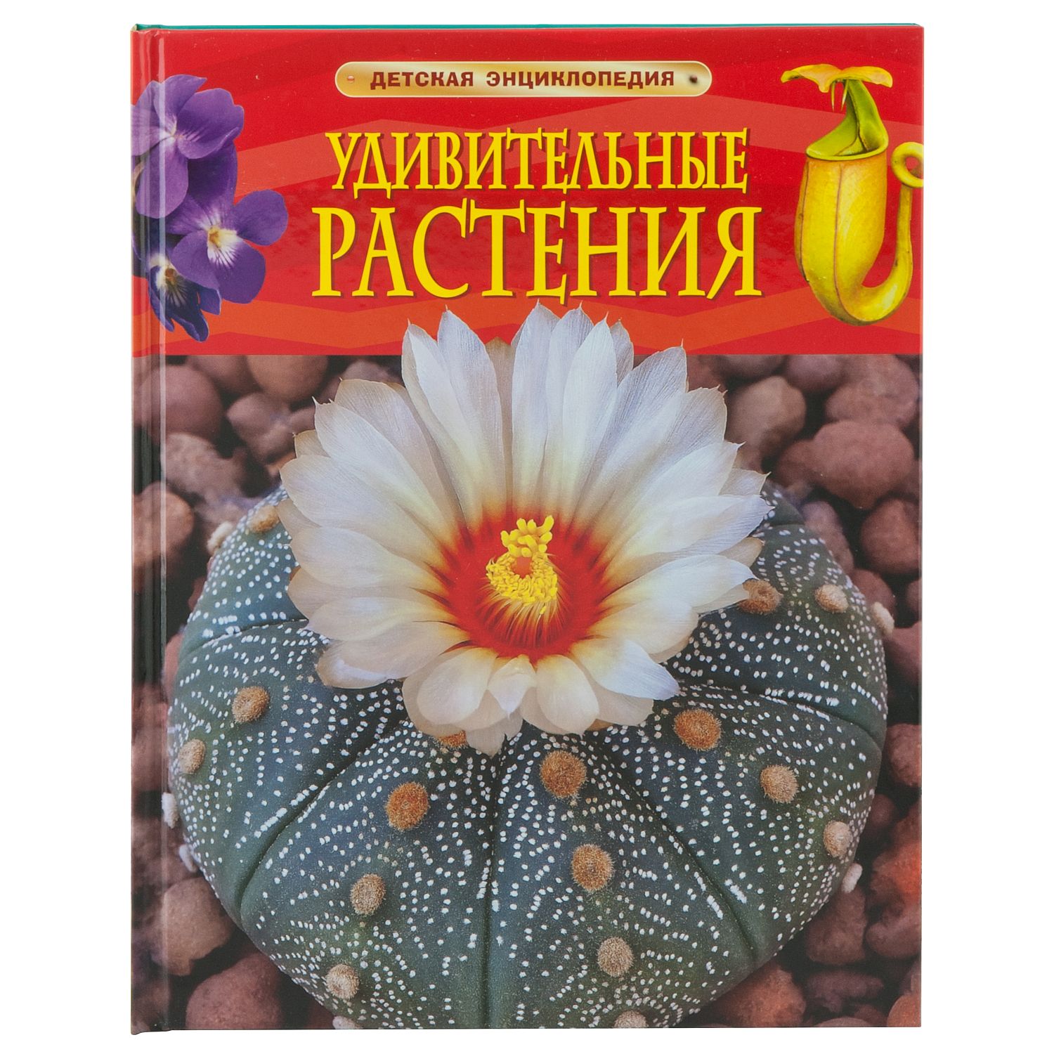 Энциклопедия растений. Энциклопедия Росмэн растения. Детская энциклопедия. Удивительные растения. Росмэн удивительные растения. Удивительные растения книга.