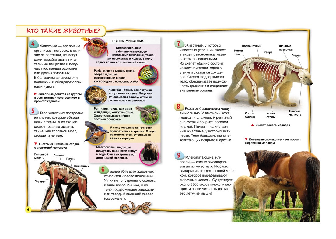 Факты про животных. 100 Фактов животные. Статьи из энциклопедии для детей. Интересные факты о животных книга. Интересные факты из энциклопедии.